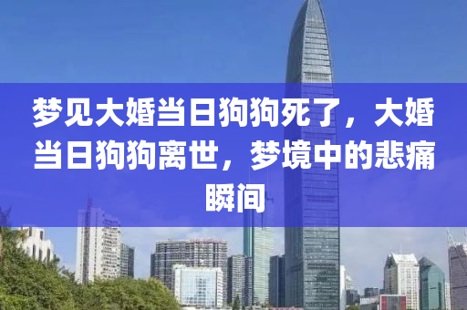 梦见大婚当日狗狗死了，大婚当日狗狗离世，梦境中的悲痛瞬间