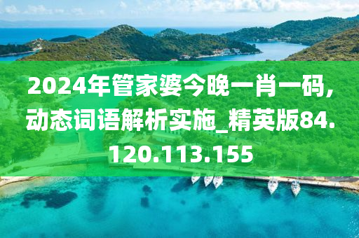 2024年管家婆今晚一肖一码,动态词语解析实施_精英版84.120.113.155