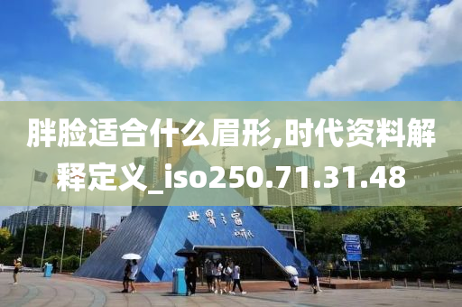 胖脸适合什么眉形,时代资料解释定义_iso250.71.31.48