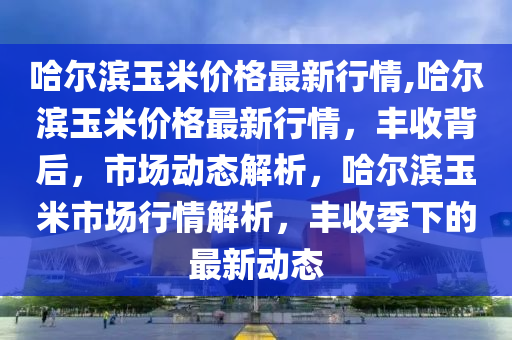 哈尔滨玉米价格最新行情,哈尔滨玉米价格最新行情，丰收背后，市场动态解析，哈尔滨玉米市场行情解析，丰收季下的最新动态