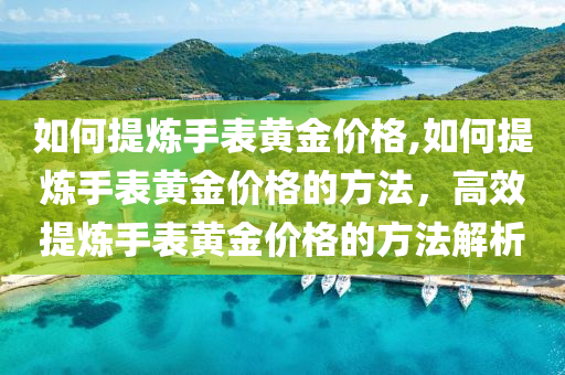 如何提炼手表黄金价格,如何提炼手表黄金价格的方法，高效提炼手表黄金价格的方法解析