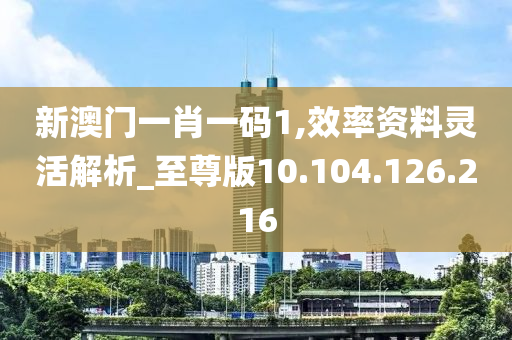 新澳门一肖一码1,效率资料灵活解析_至尊版10.104.126.216