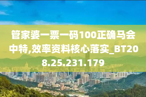 管家婆一票一码100正确马会中特,效率资料核心落实_BT208.25.231.179