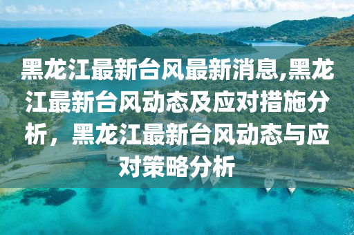 黑龙江最新台风最新消息,黑龙江最新台风动态及应对措施分析，黑龙江最新台风动态与应对策略分析