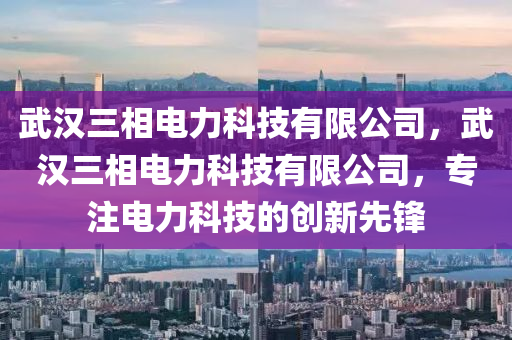 武汉三相电力科技有限公司，武汉三相电力科技有限公司，专注电力科技的创新先锋